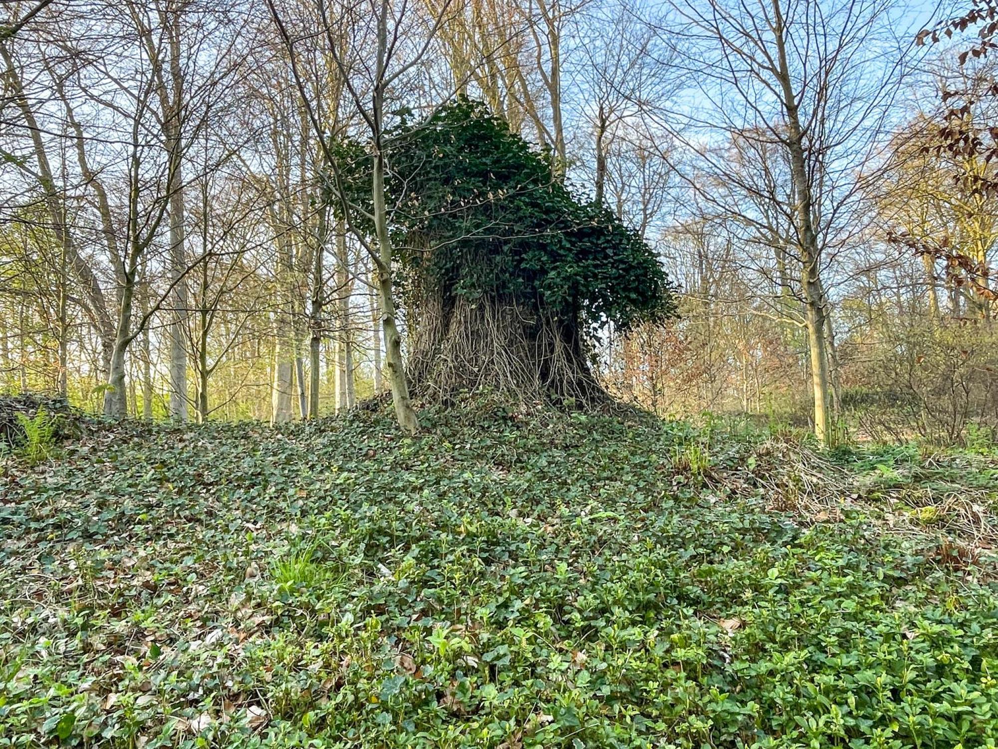 Landhaus Beim Knoops Park BRE Esterno foto